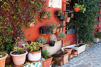 Flower pots at a house wall in Burano