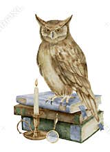 Wise Owl on a stack of books. Watercolor illustration of bird a symbol of wisdom and knowledge. Hand drawn clipart on