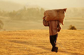 Farm Worker in Peru