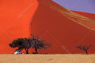 Sossusvlei - Dune 45