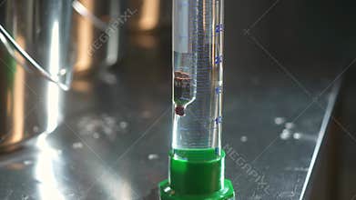 Galileo thermometer displays temperature changes based on the physics of density. lemonade production. the thermometer