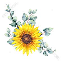 Watercolor sunflowers bouquet, hand painted sunflower bouquets, sunfower flower arrangement. Wedding invitation clipart elements.