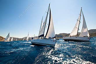 Sailing regatta