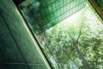 Sustainble green building. Eco-friendly building in modern city. Sustainable glass office building with tree for reducing carbon