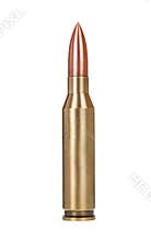 Bullet
