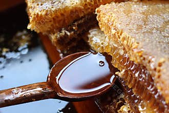 Fresh honey