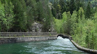 Swift, Wild Mountain River Flowing between Man-made Concrete Banks.