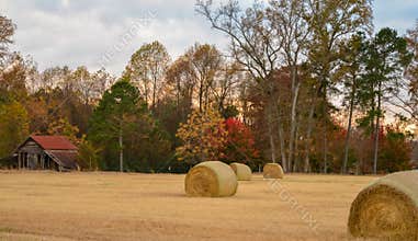 Hay bales and old barn