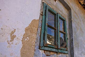 cute little owl (Athene noctua) in the broken window of an abandoned house