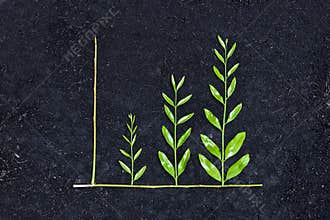 Green business graph