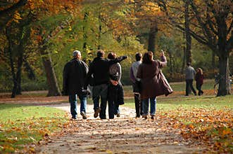 Autumn Walk
