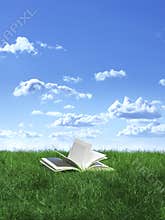 Book on lawn