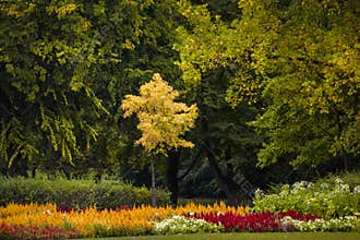 Yellow and Red on Green - Budapest