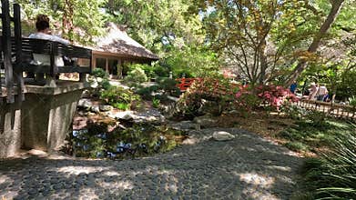 footage of an arched orange bridge over a river, lush green trees and flowers at Descanso Gardens La Canada Flintridge California