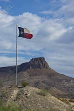 Texas Flag