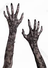 Black hand of death, the walking dead, zombie theme, halloween theme, zombie hands, white background, mummy hands