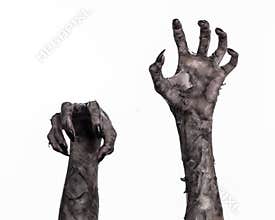 Black hand of death, the walking dead, zombie theme, halloween theme, zombie hands, white background, mummy hands