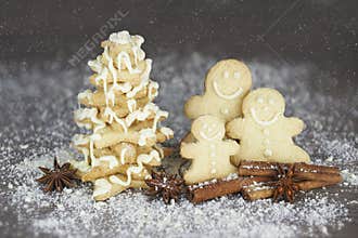 Gingerman family having fun outdoors