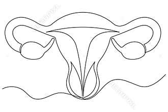 Minimalist style illustration continuous line drawing isolated female uterus