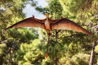 Pterodactyl dinosaur flying at forest