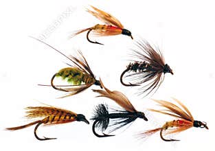 Fly fishing lures