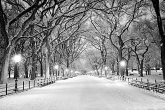 Central Park, NY covered in snow at dawn