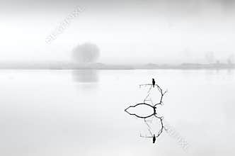 Whispering Lakes 023