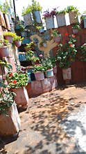 Vertical Garden with Potted Plants on Brick Wall