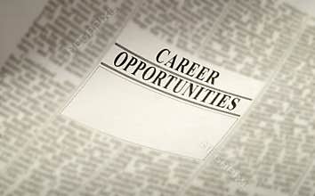 Employment - career