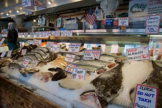 SEATTLE, WASHINGTON, USA - JAN 24th, 2017: Customers at Pike Place Fish Company wait to order fish at the famous seafood
