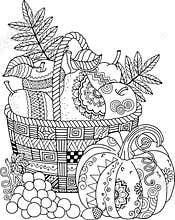Vector Coloring book for adult. Thanksgiving day. Basket of apples.