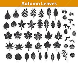 Autumn fall leaves silhouettes set in black color