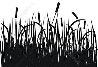 Grass vector silhouette