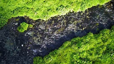 Mountain stream from above