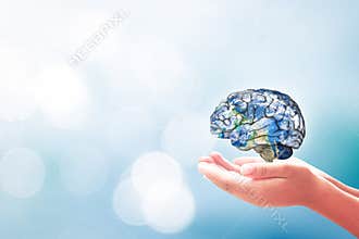 Human Hand Holding Brain With World Map Concept Of Global Intelligence