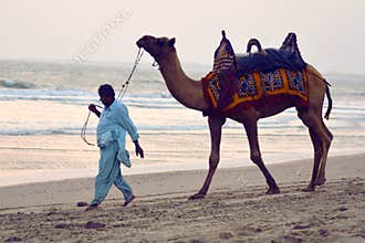 Person draw camel on beach / Mandvi, Kutch, India. Local person
