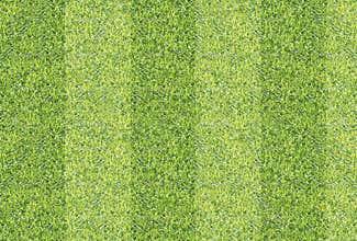 Seamlessly green grass texture background.