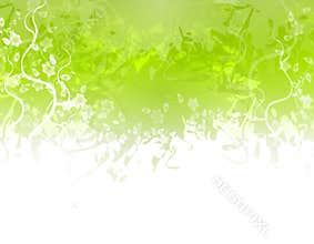 Green Flower Texture Border