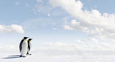 Emperor penguins in Antarctica