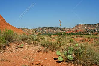 Palo Duro Canyon
