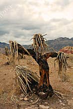 Yucca Scarecrow