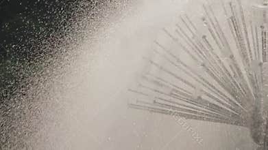 Fountain in the Form of Chamomile Works
