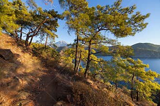 Turkish landscape with Olympos mountain, beach green forest