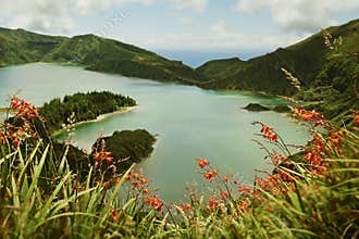 Amazing landscape view of crater volcano lake and flowers in Sao Miguel isla of Azores