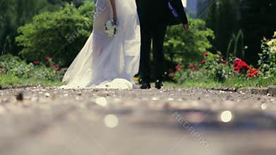 A beautiful married couple walking down the park and holding their hands. Golden glittering confetti is spinning on the