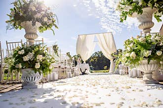 Decorations for the wedding ceremony. Flowers closeup.
