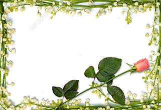 Beautiful flower frame with pink rose background