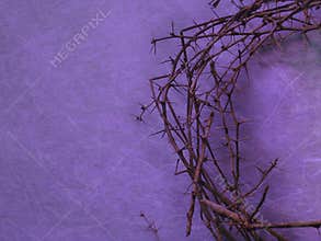 Crown of thorns on purple background