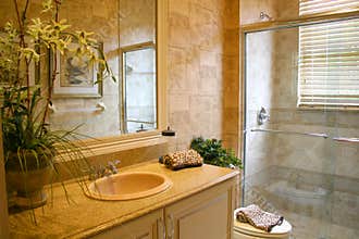 Bathroom Deluxe