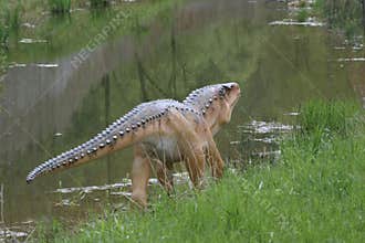 small Dinosaur